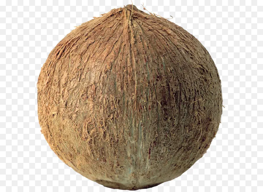 Noix De Coco，Fruit PNG