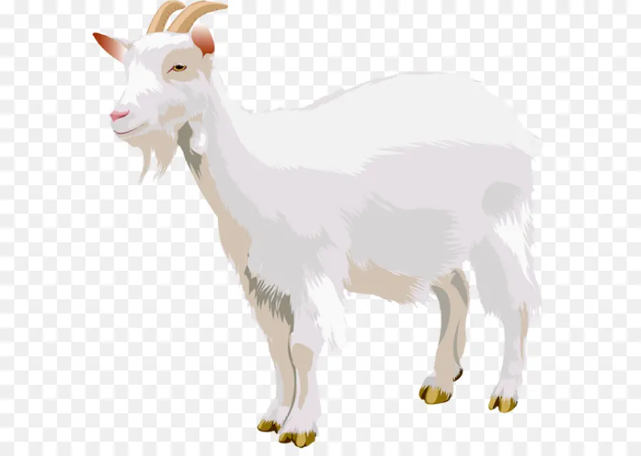 Chèvre，Trois Billy Goats Bourru PNG