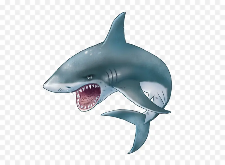 Requin，Grande Blanc Requin PNG