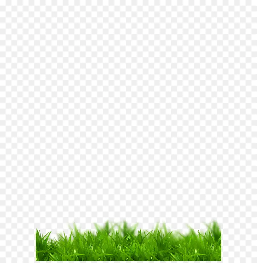 Herbe，Vert PNG