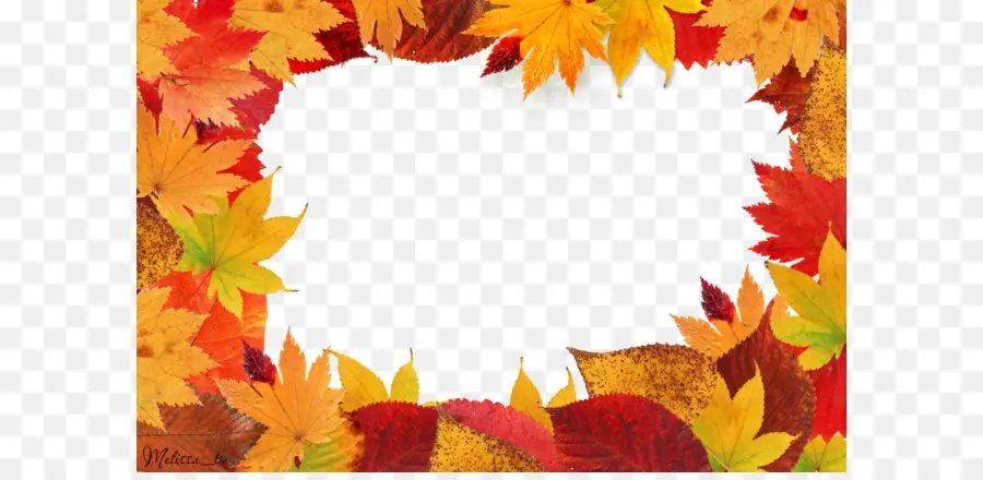 Feuilles D'automne，Cadre PNG