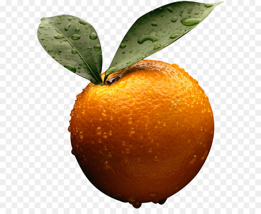 Orange，Agrumes PNG