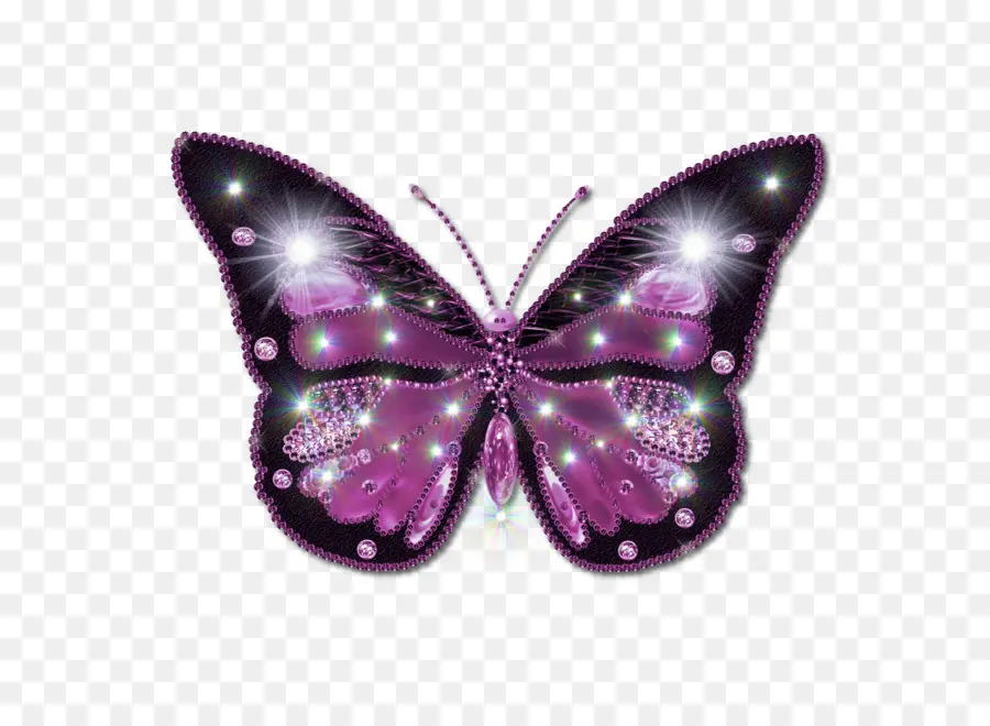 Papillon，Violet PNG