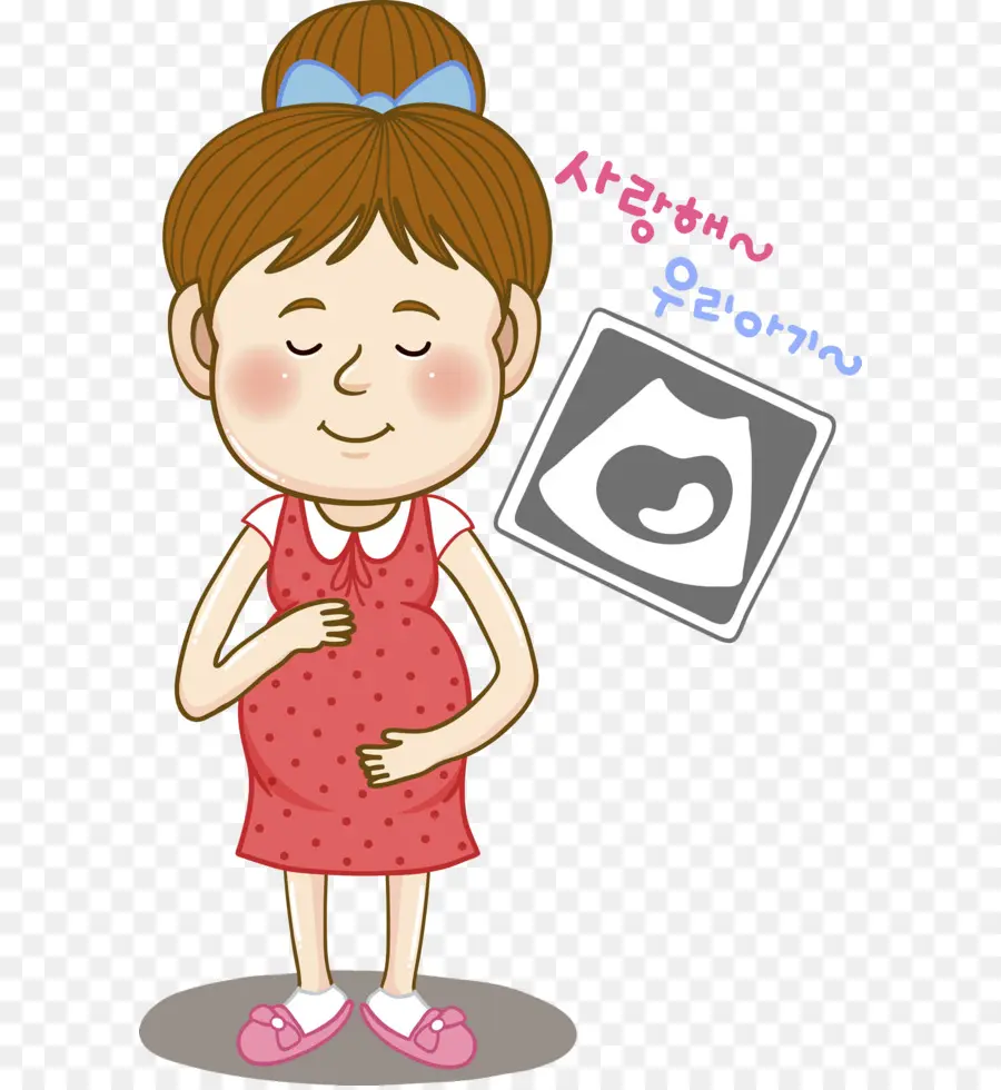 Femme Enceinte，Ultrason PNG