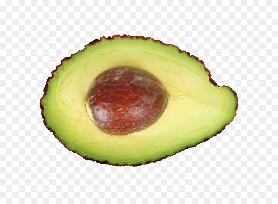 Avocat，Graine PNG