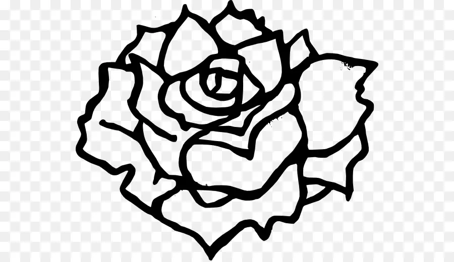 Rose，Noir Et Blanc PNG