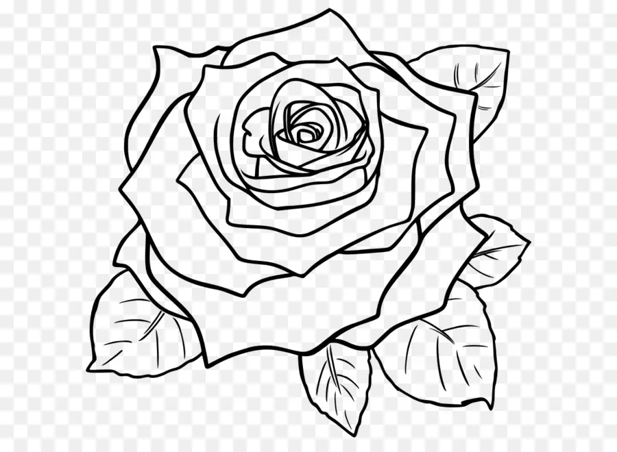 Rose，Usine PNG