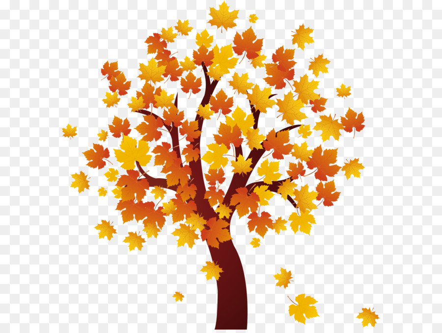 Arbre，Automne PNG