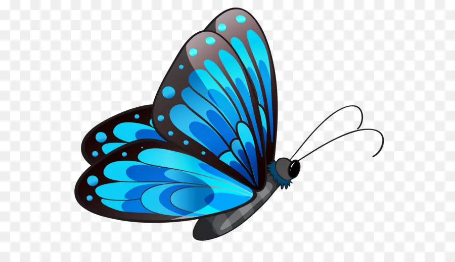 Papillon，Bleu PNG