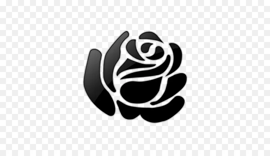 Rose，Fleur PNG