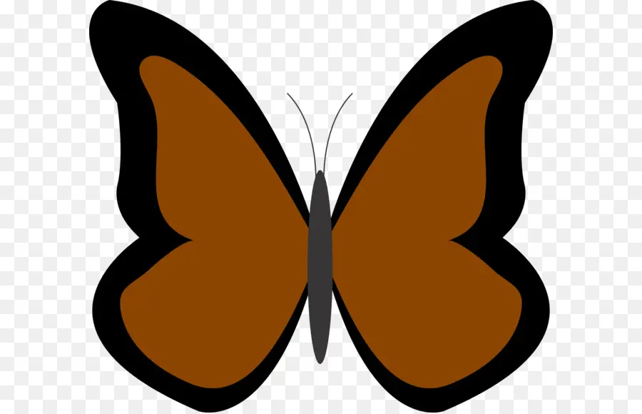 Papillon，Brun PNG