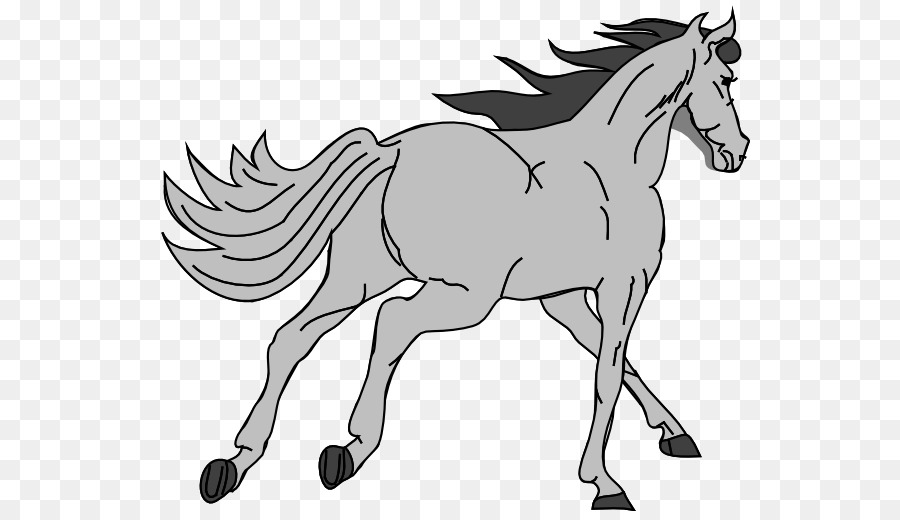 Cheval，Poney PNG