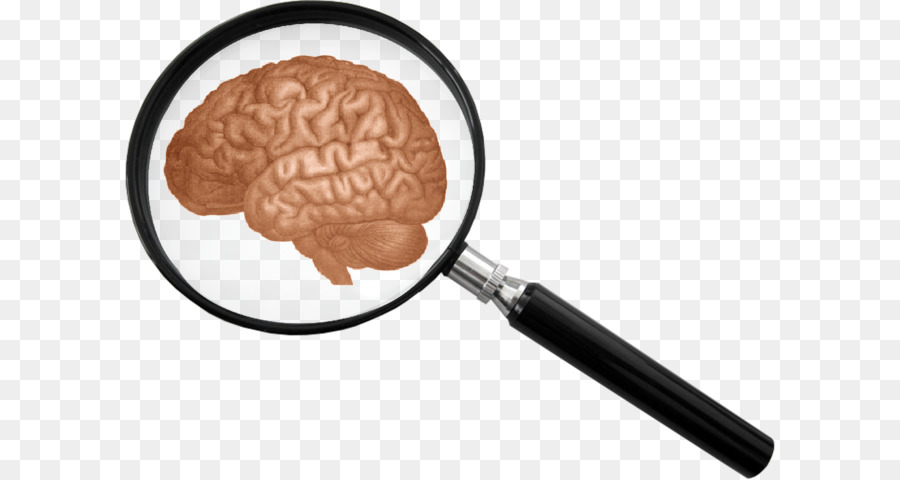 Cerveau，Loupe PNG