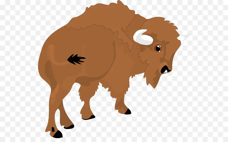 Bison Américain，Bonasus Bison PNG