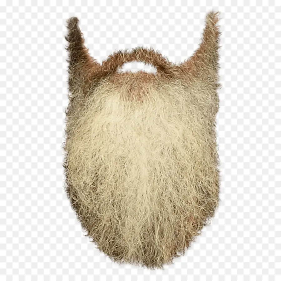 Le Père Noël，Barbe PNG