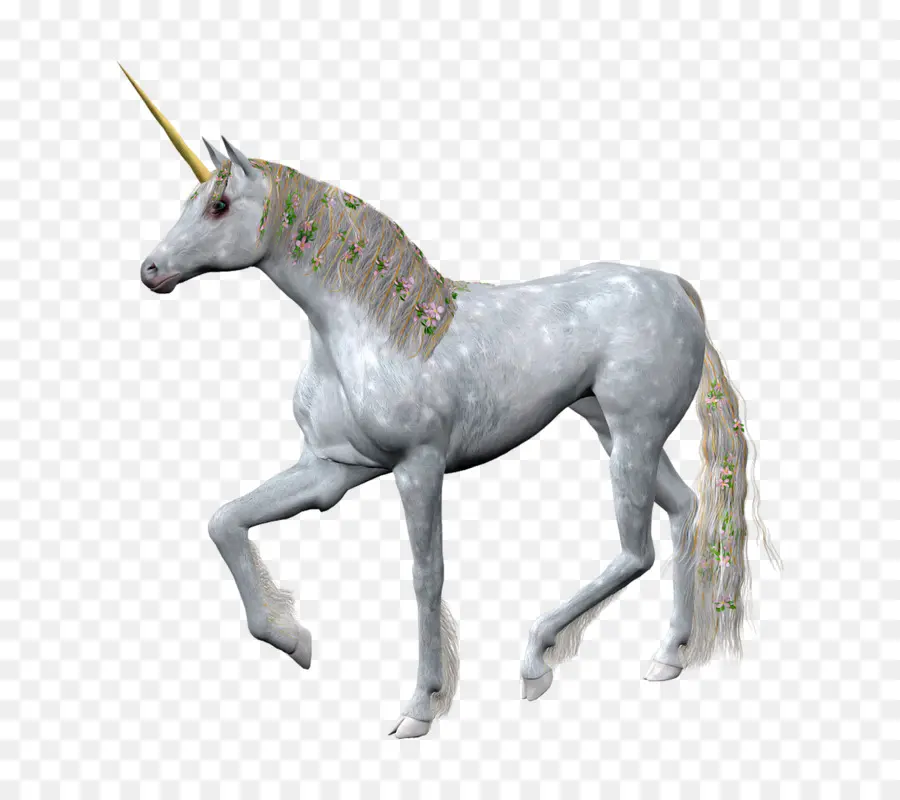 Licorne Blanche，Mythique PNG