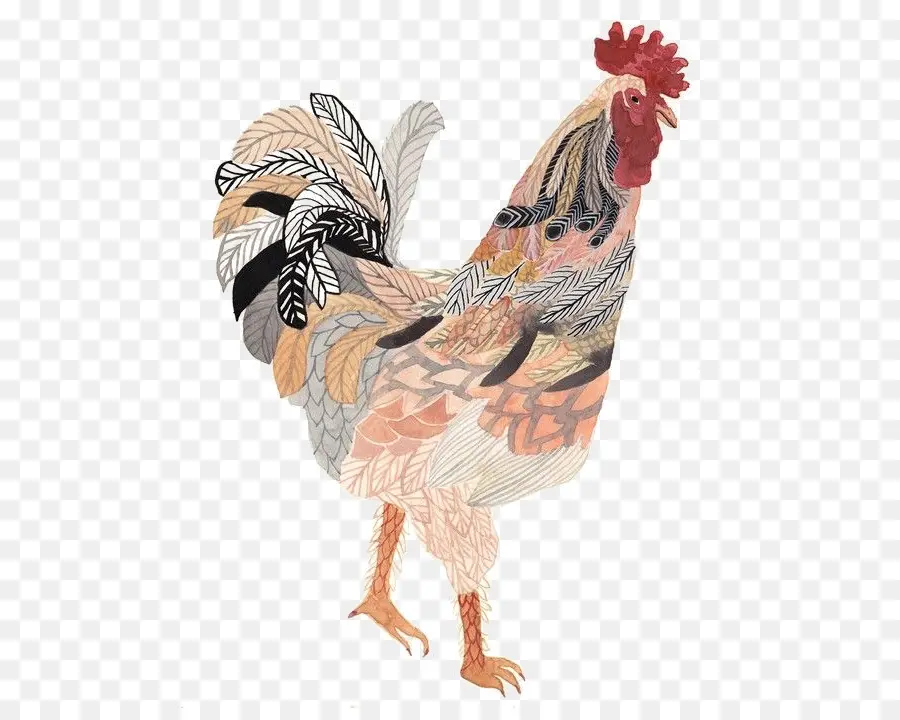 Coq Coloré，Oiseau PNG