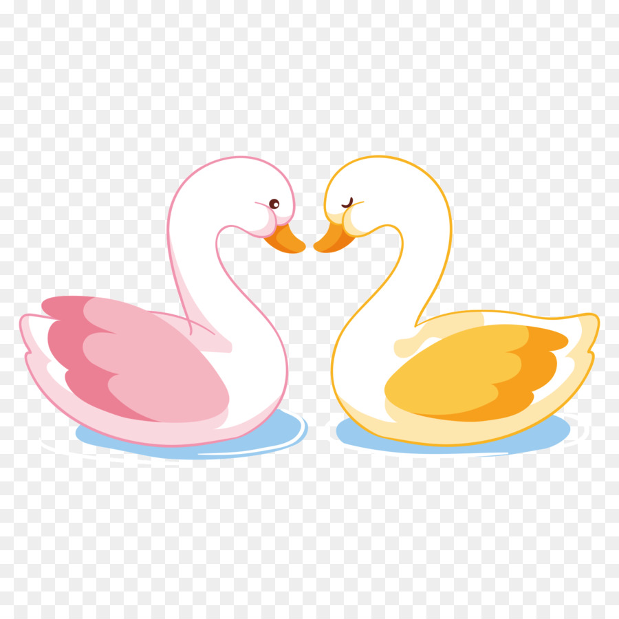 Canard，Canard Mandarin PNG