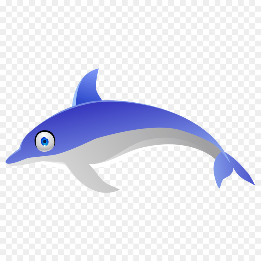 Dauphin Bleu，Mer PNG