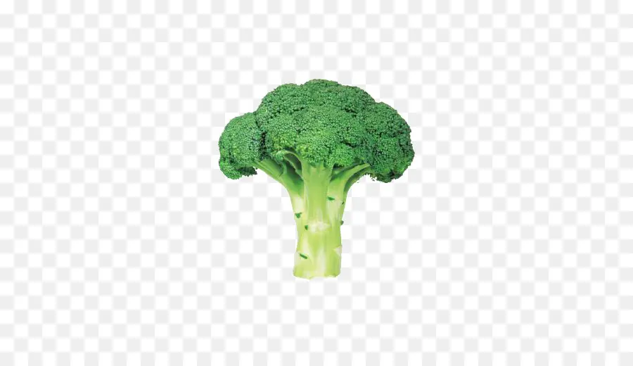 Brocoli，Vert PNG