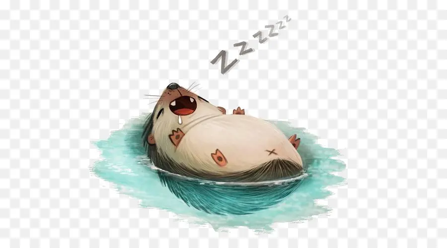 Loutre Endormie，Dormir PNG