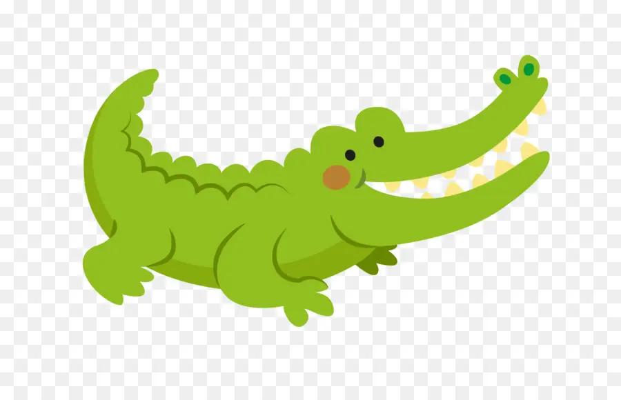 Crocodile，Animal PNG