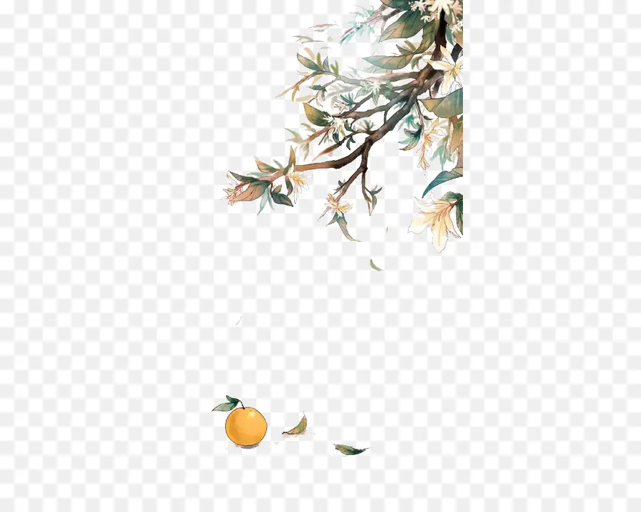 Orange Sur Branche，Fruit PNG