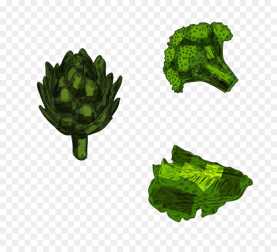 Légumes Verts，Brocoli PNG