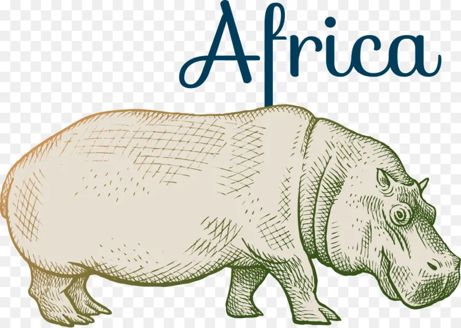 Hippopotame，Afrique PNG