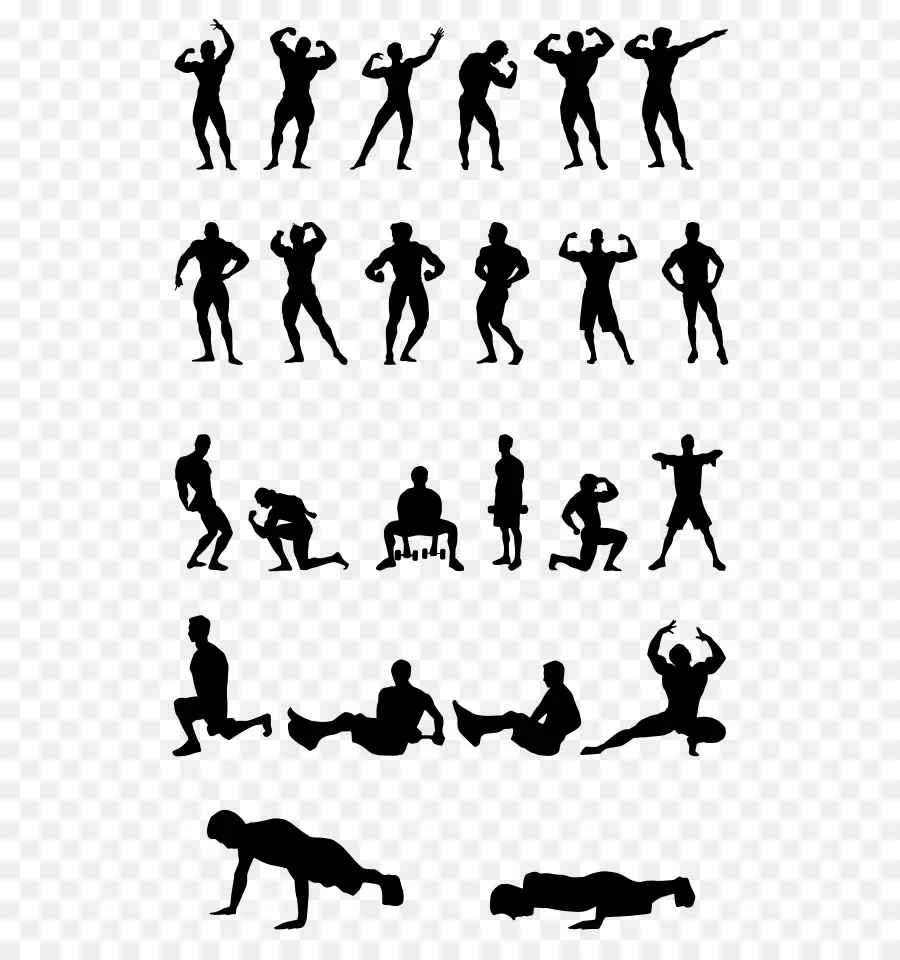 Forme Physique，La Musculation PNG