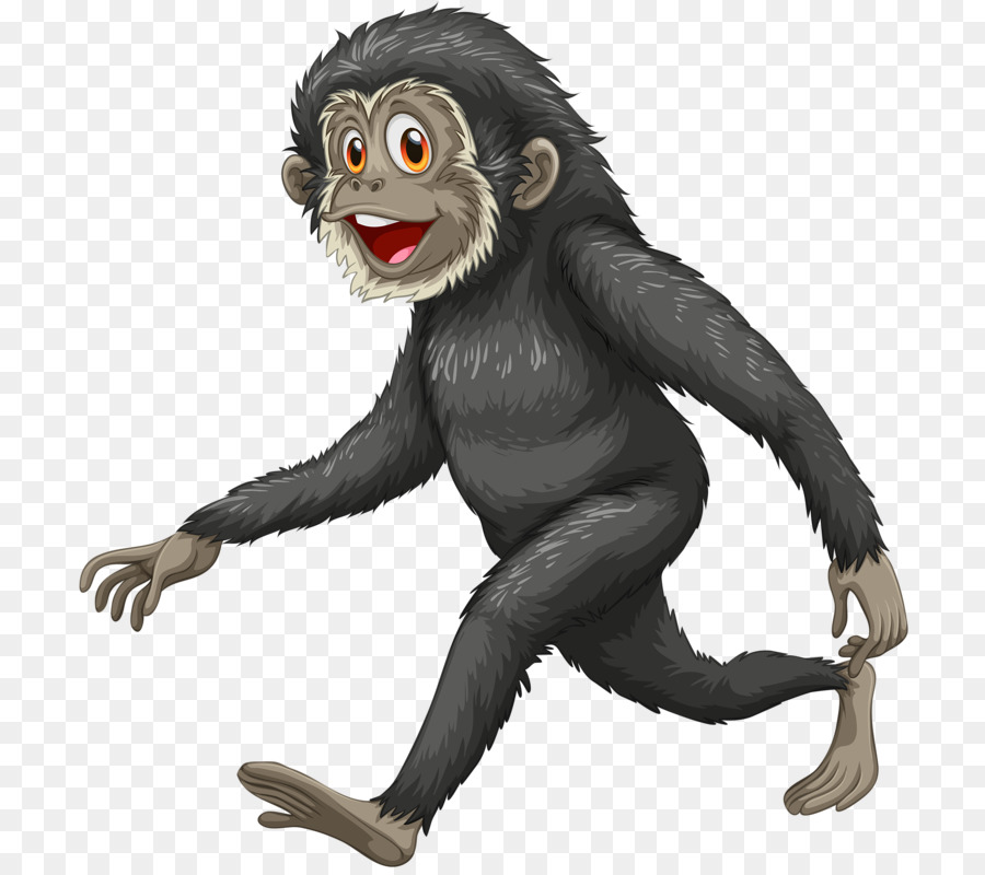 Singe Qui Marche，Singe PNG