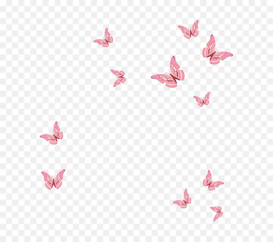 Papillons Roses，Insectes PNG