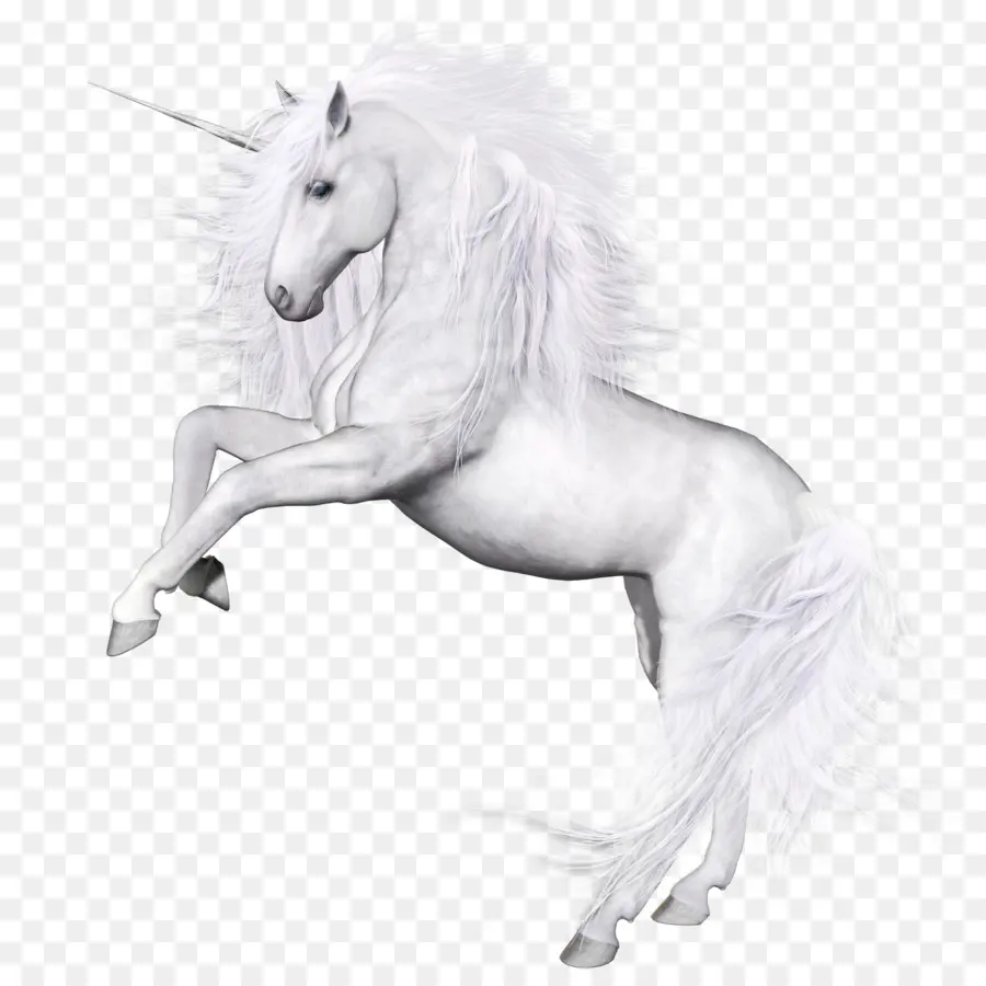 Cheval，Licorne PNG