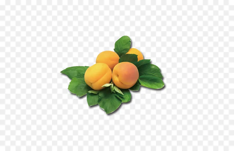 Abricots Avec Des Feuilles，Fruit PNG