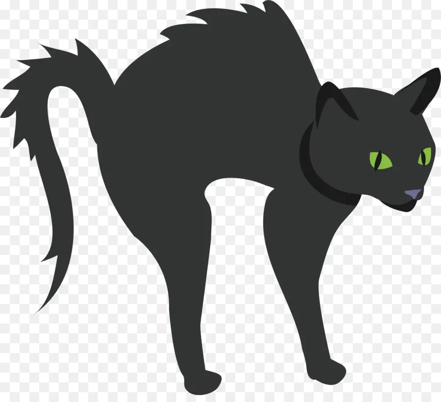 Chat Noir，Halloween PNG