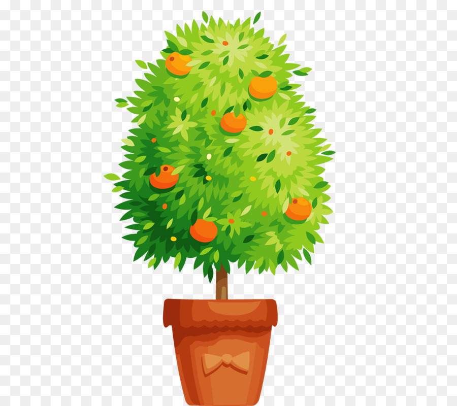 Plante En Pot，Arbre PNG