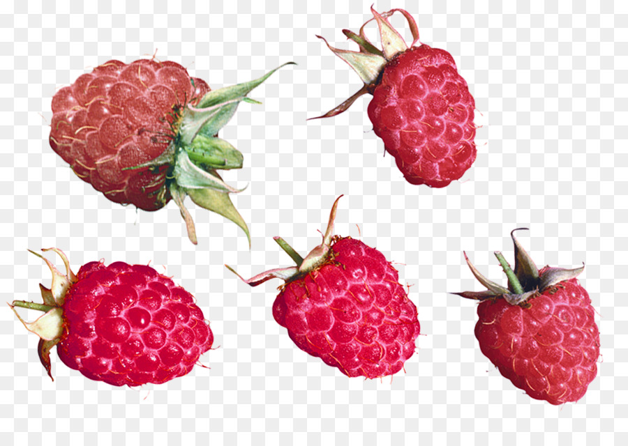 Framboises，Fruit PNG