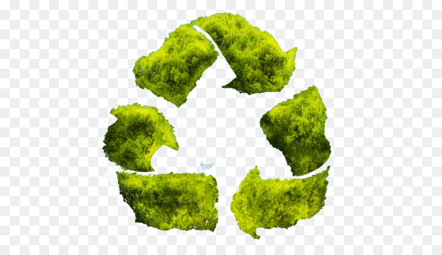 Symbole De Recyclage Vert，Environnement PNG