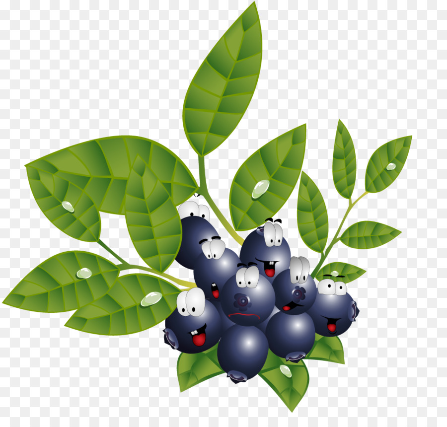 Fruit，Légume PNG