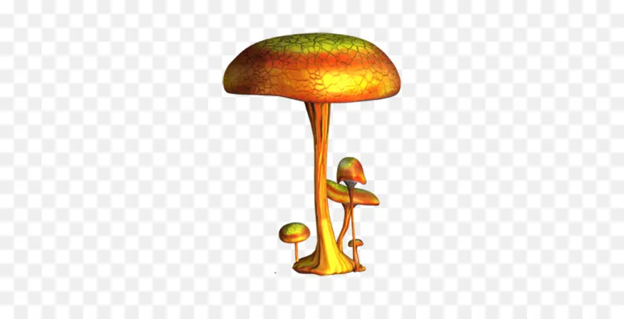 Champignon Doré，Champignons PNG