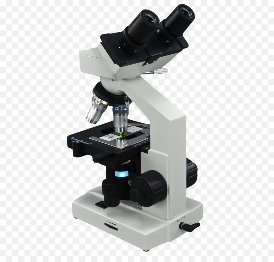 Microscope Optique，Jumelles PNG
