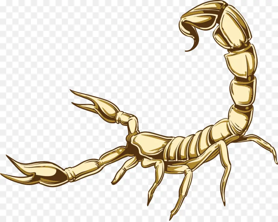 Scorpion，Dessin Animé PNG