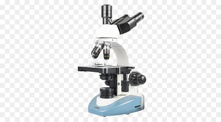 Microscope，Laboratoire PNG