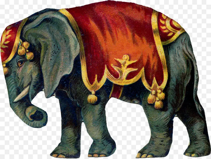 Cirque，L éléphant PNG