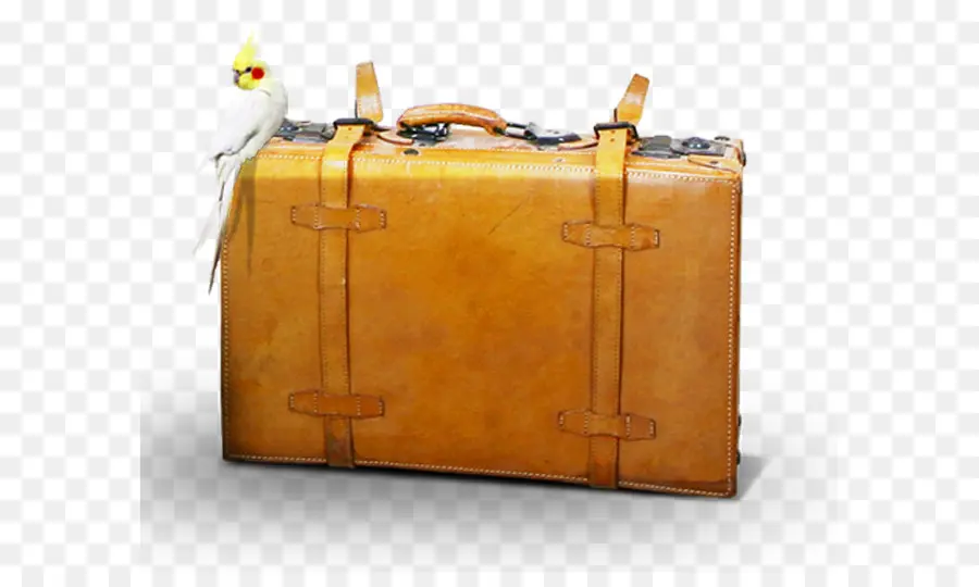 Valise，Sac PNG