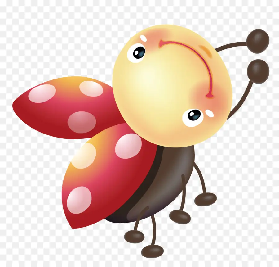 Coccinelle，Insecte PNG
