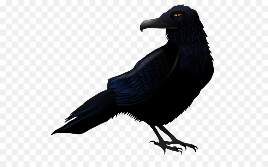 Le Grand Corbeau，Oiseau PNG