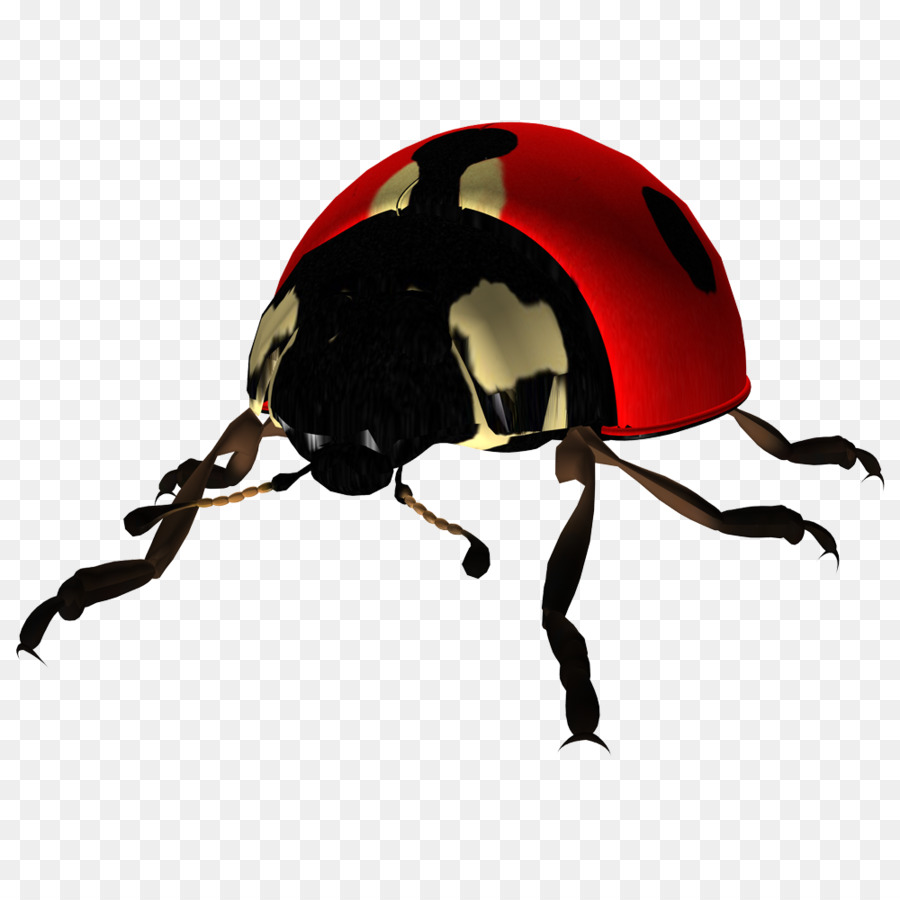 Coccinelle，Rouge PNG