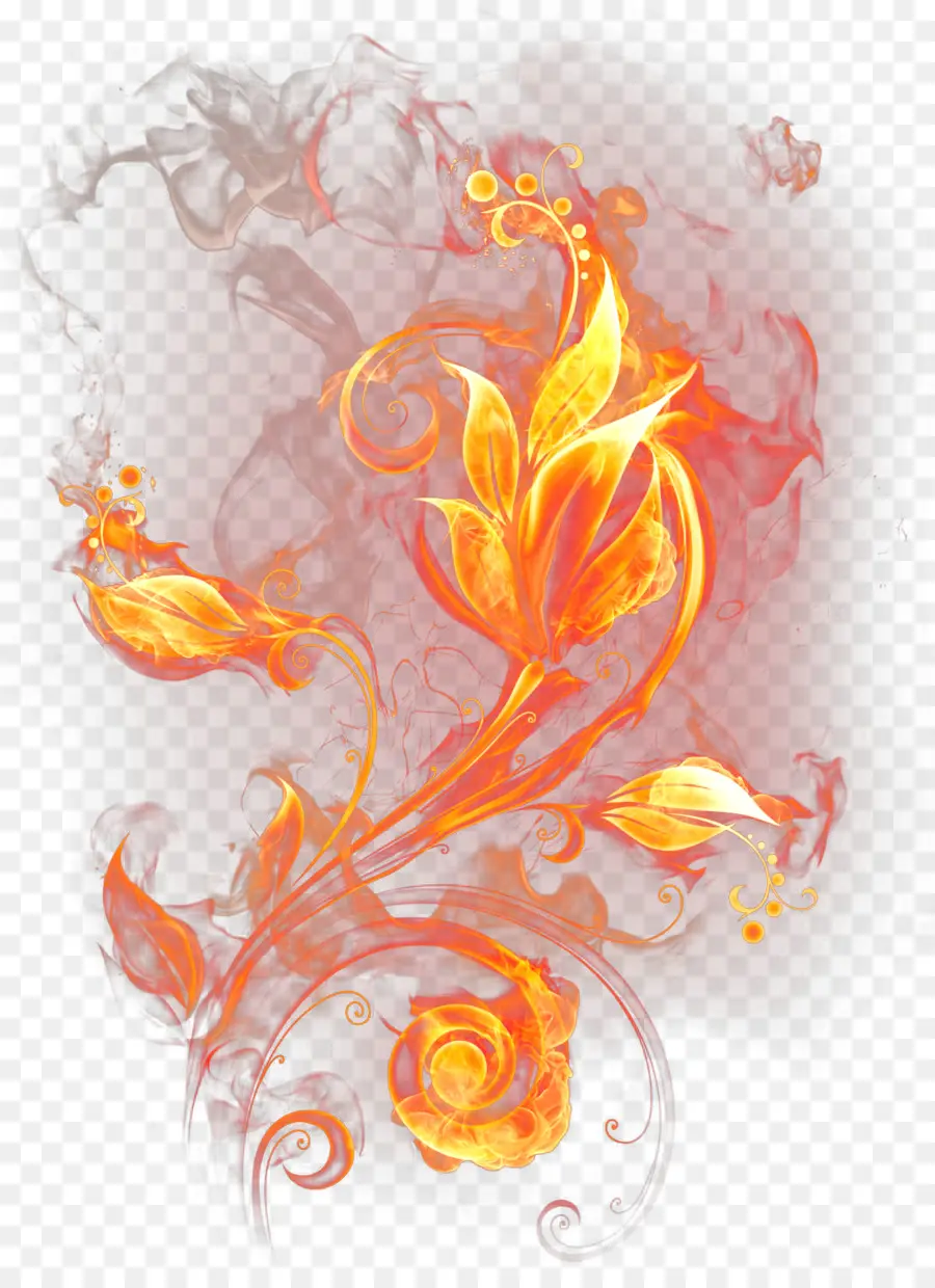 Conception Florale，Fleur PNG