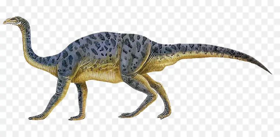 Dinosaure à Long Cou，Préhistorique PNG